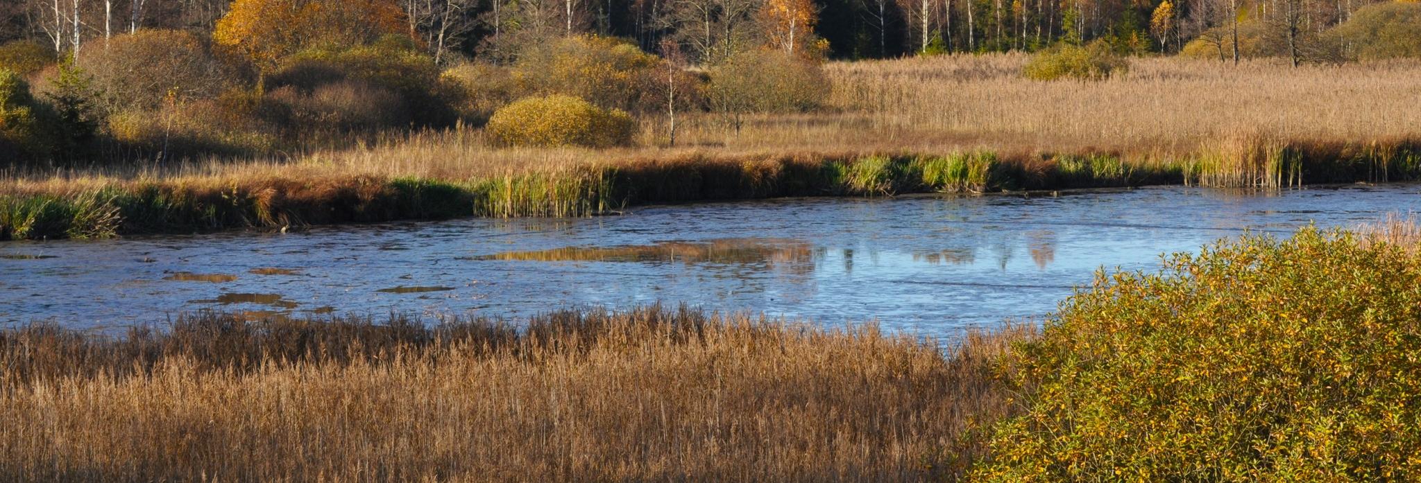 Kraj v příštím roce opět podpoří výstavbu a obnovu rybníků, tůní i mokřadů