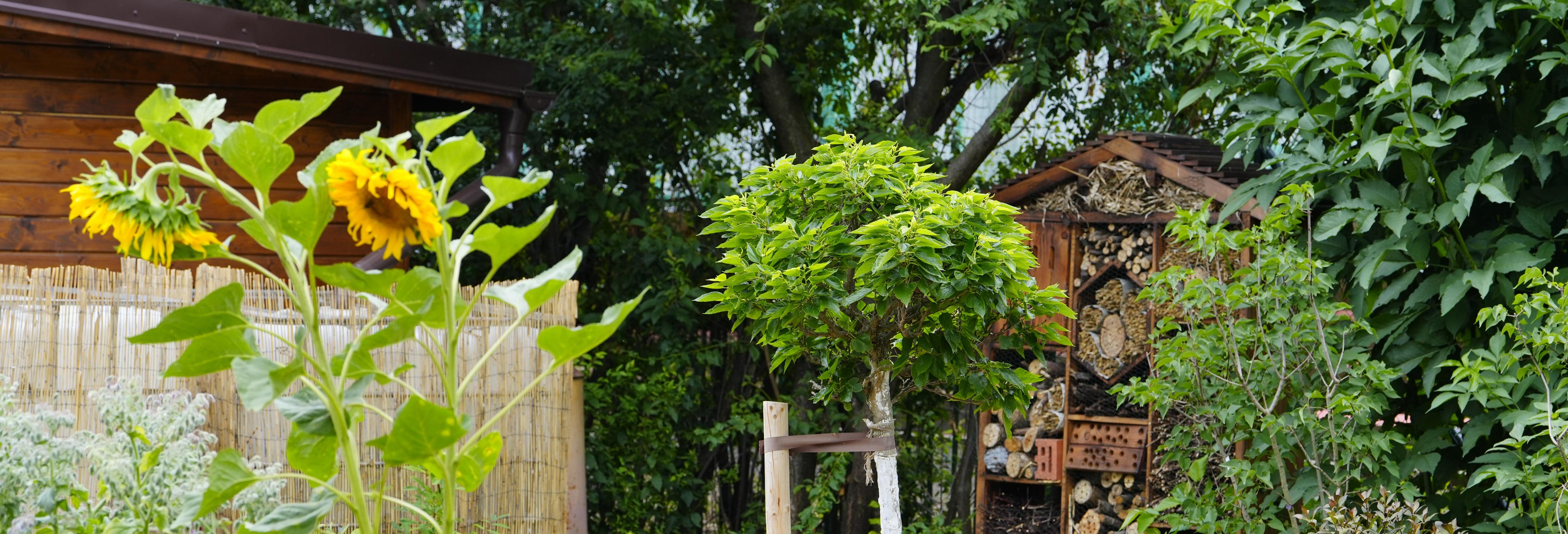 Vzdělávání zábavnou formou. Na projekty ochrany přírody dává kraj osm a půl milionu korun